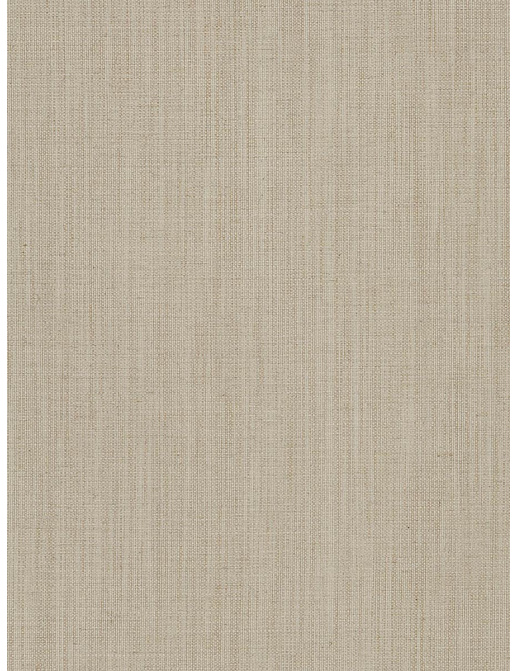 Ткань Fabricut Olids By Color Taupe Aleric/Bone