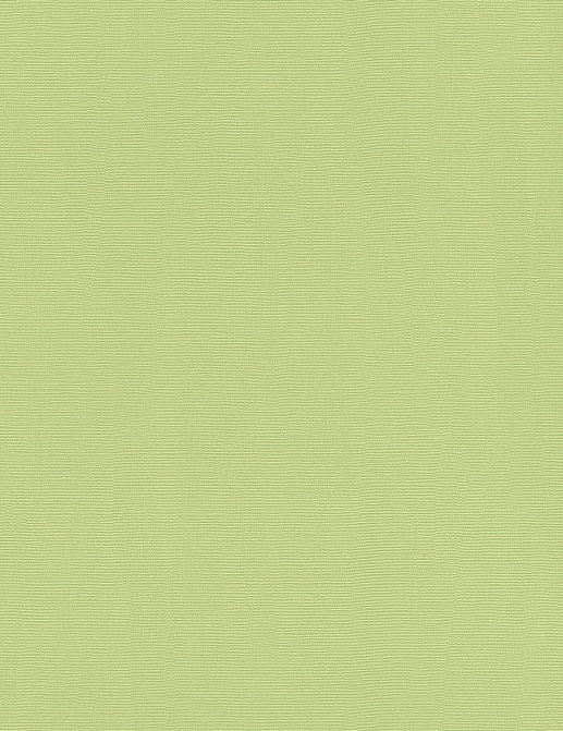 Обои Rasch Hyde Park 411829