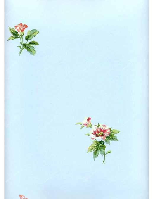 Обои York Ashford House - Flowers S.E. WU0723