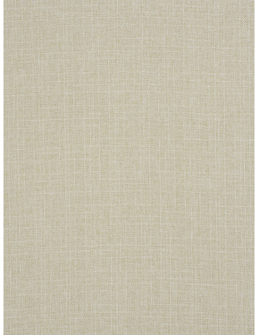 Ткань Trend Mammoth Twill 04466/Greige