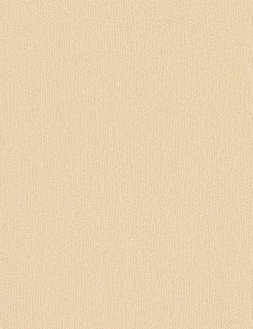 Обои A. S. Creation Colourfast 95956-6