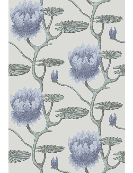 Обои Cole & Son Contemporary Restyled 95/4024