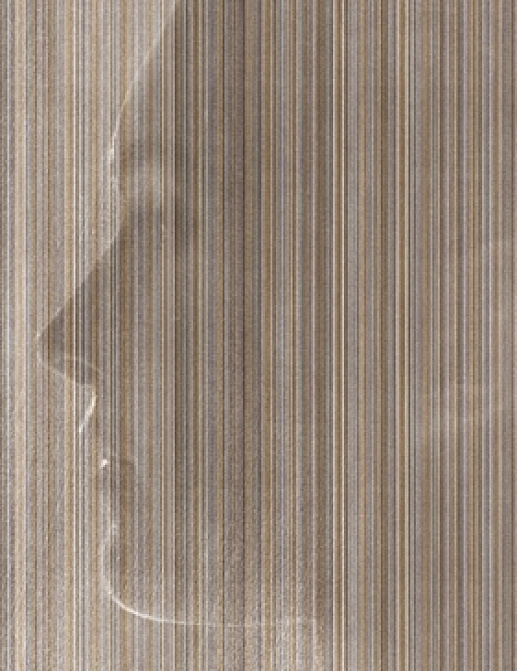 Панно и фотообои Wall & Deco 2015 WDBE1502-A
