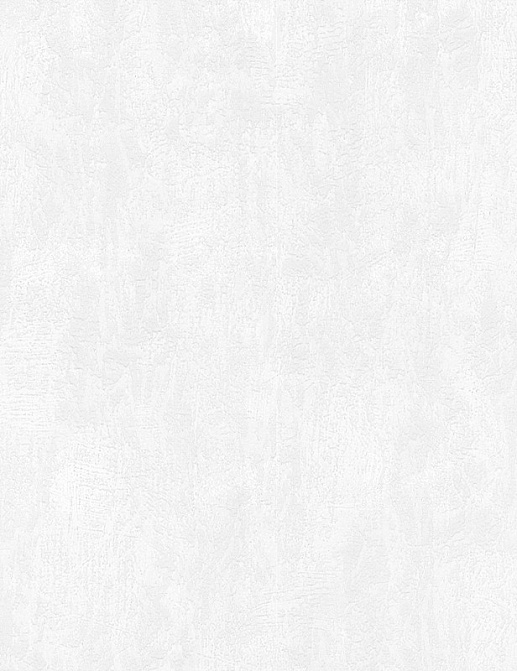 Обои A. S. Creation White & Colours 506825