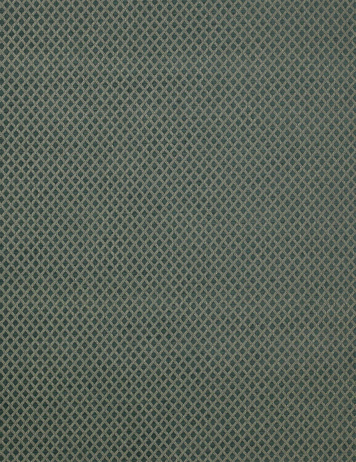 Ткань Colefax and Fowler Shaw F4336/06
