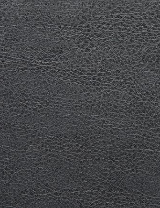 Ткань Holly Hunt Holly Hunt Leather 6005/20