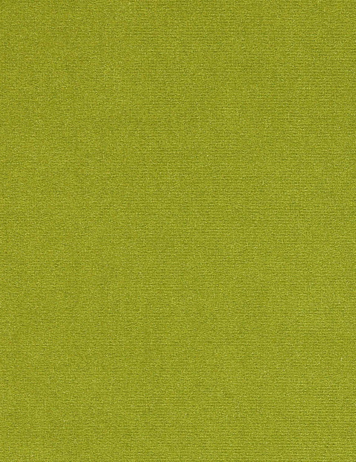 Ткань Manuel Canovas Rivoli II 04982/51