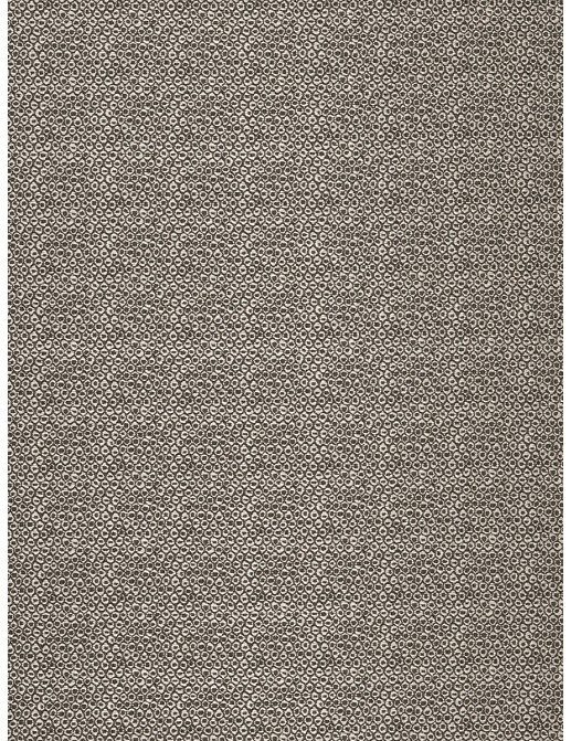 Ткань Fabricut Expressions Vol.V Shadow Kang/Zinc