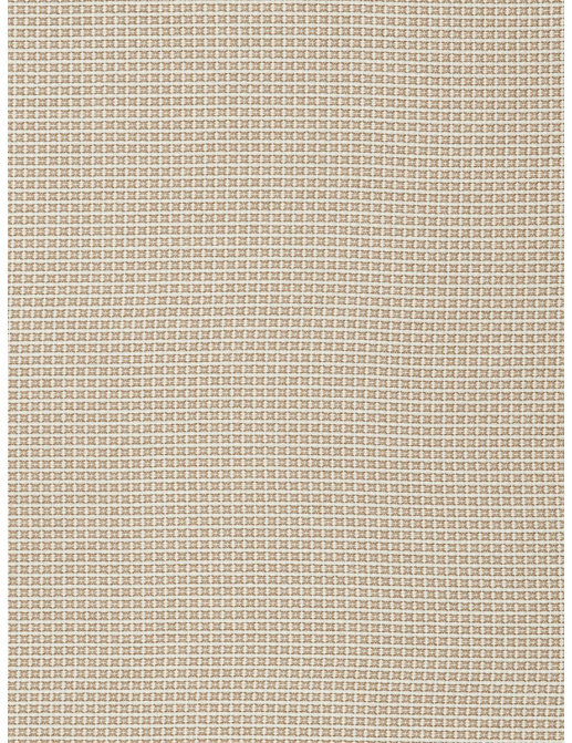 Ткань Stroheim Dana Gibson Prints II Wingo/Sand