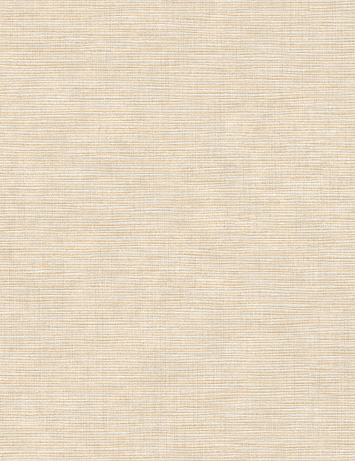 Обои Texam Raw RW504