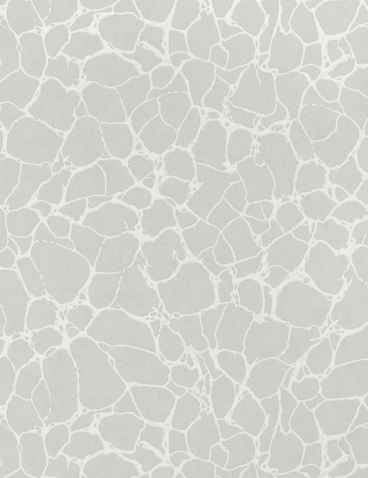 Обои Thibaut Surface Resource T4015