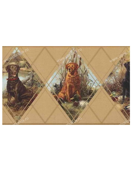 Обои Chesapeake Field Guide FG35586B