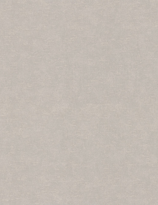 Обои Rasch Wall Textures XL Vol3 965032