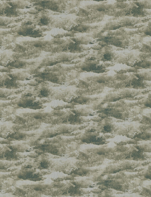 Ткань Chivasso Carlucci di Chivasso Cloudscape CA1582/030