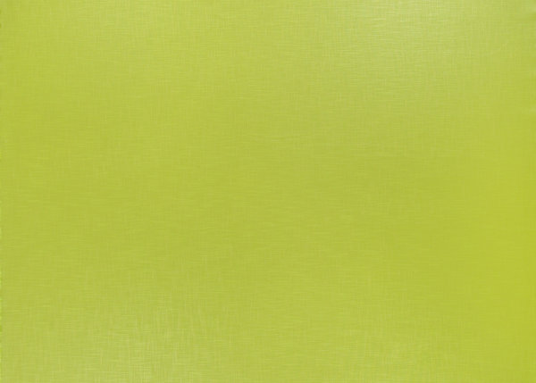 Ткань Designers Guild Molveno FT1333/05
