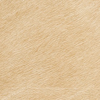 Обои Elitis Memoires VP62529
