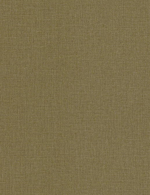 Обои Caselio Jute JTE104017342