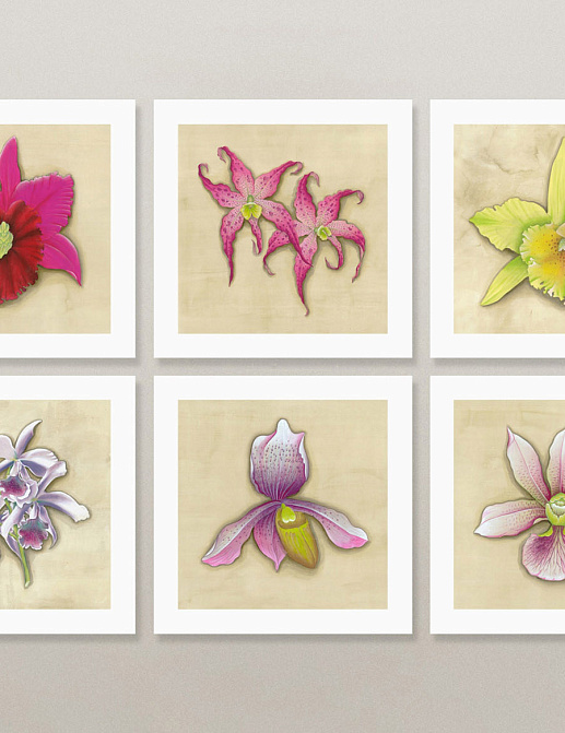 Панно и фотообои Paul Montgomery Studio Complete Collection Orchids
