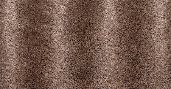 Обои Innovations Collection Caballo CAB-105 CRIOLLO