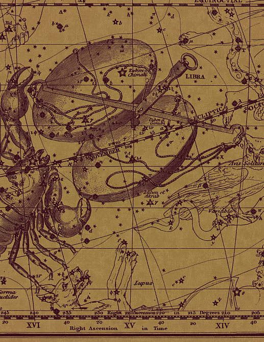 Панно и фотообои Italreflexes Macro Scorpio-018/PureGold