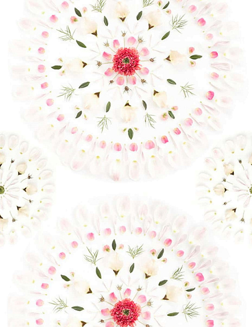 Панно и фотообои Sandberg Flora Sandbergica 628-01