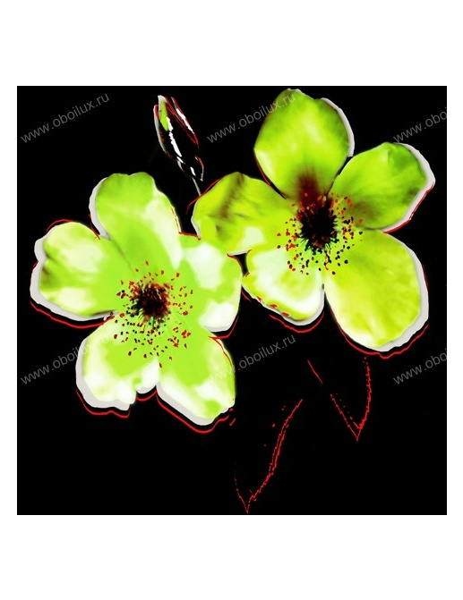 Обои Elitis Serie Limitee TP160-07