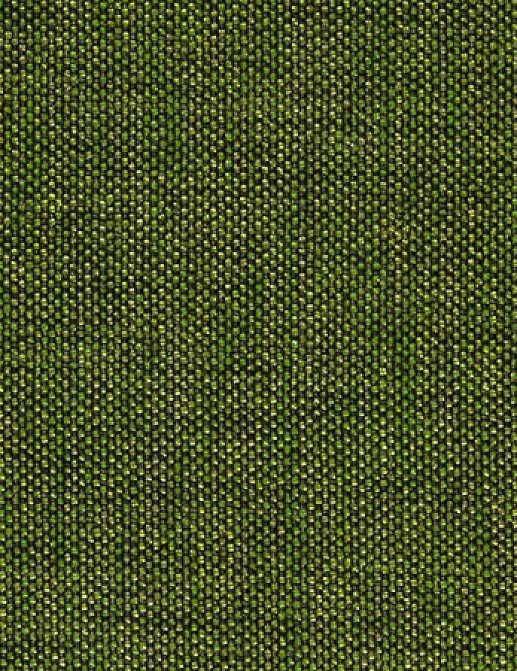 Ткань Designers Guild Rinzu F1393/29