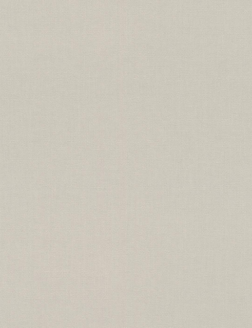 Обои Rasch Allegretto 542479