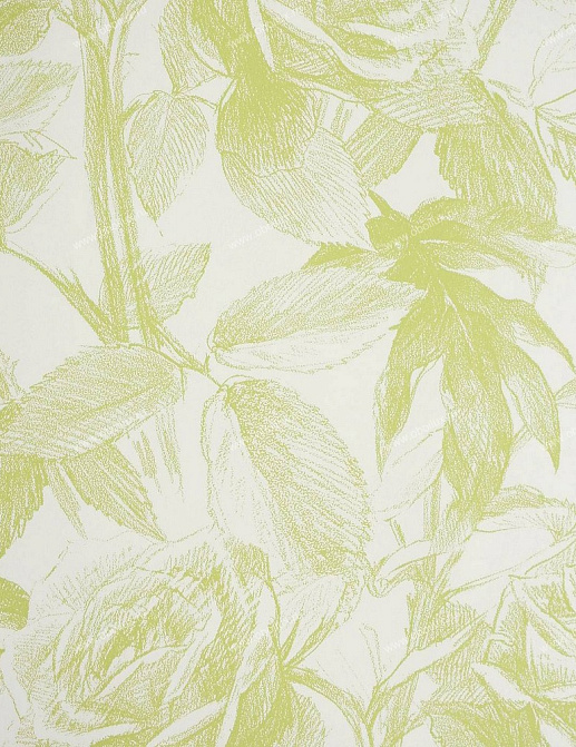 Обои Clarke & Clarke Floribunda W0037-08