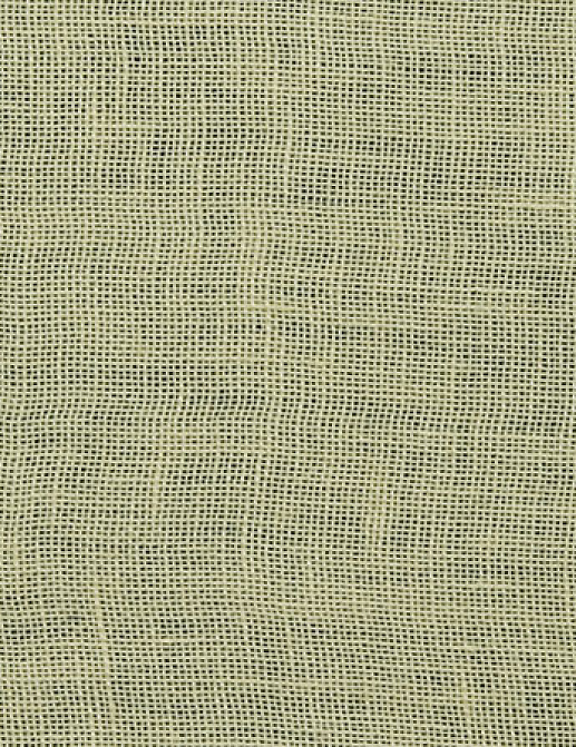 Ткань Designers Guild Bassano F1563/11