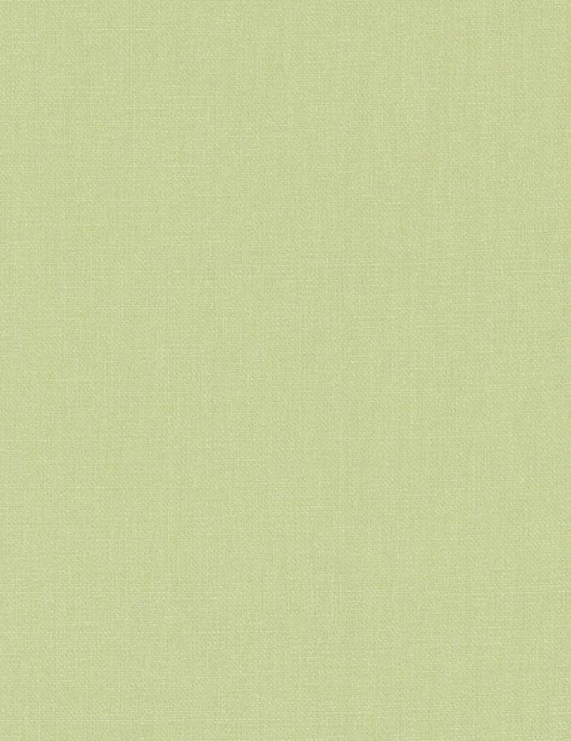 Ткань Duralee Pine Valley Solids 32770/579