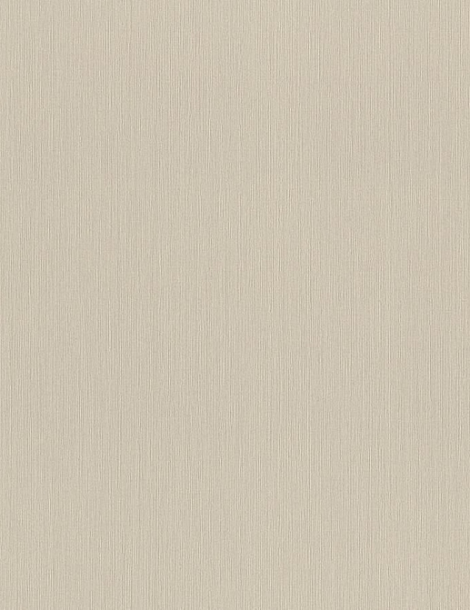 Обои Rasch Настенные структуры. Том 4 / Wall Textures XL Vol. 4 968569