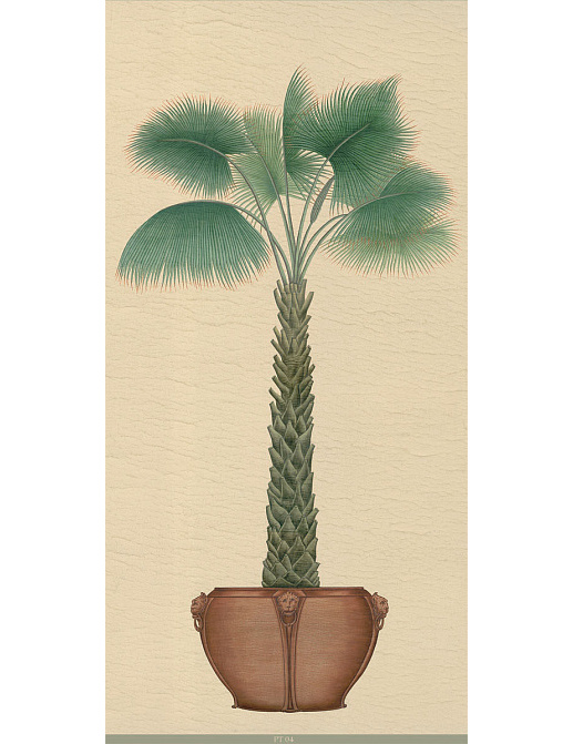 Панно и фотообои Iksel Scenic & Architectural Wallpapers Potted Palms PT04