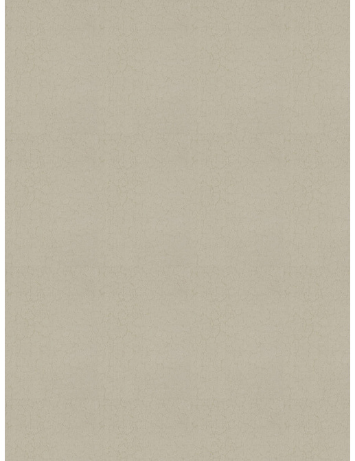 Ткань Trend Lifestyles By Color vol.IX Sand/Storm 04639/parchment