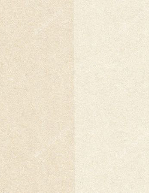 Обои Eijffinger Stripes Only 372146