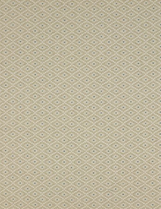 Ткань Colefax and Fowler Amersham F3625/05