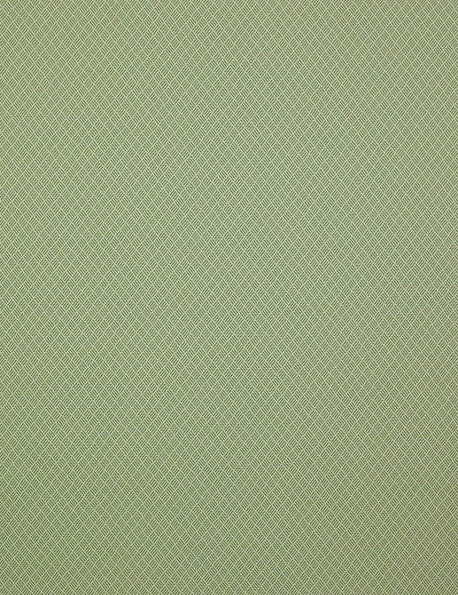 Ткань Manuel Canovas Malfa 04891/04