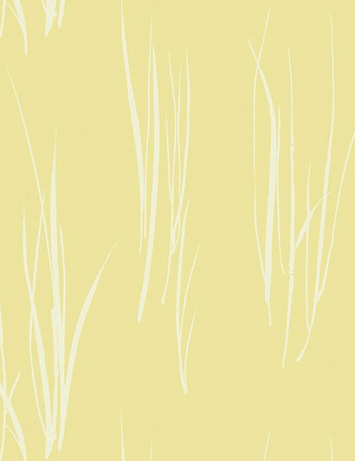 Обои Paper & Ink Coastal Chic CO10803