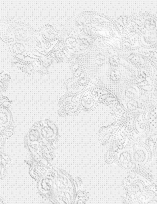 Панно и фотообои Wall & Deco Collection 2017 WDSP1701