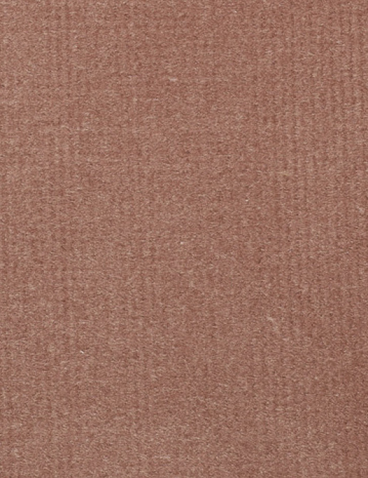 Ткань Alessandro Bini Velluto di Cotone G075/462