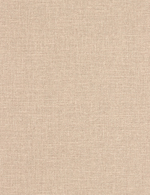 Обои Caselio Jute JTE104011474