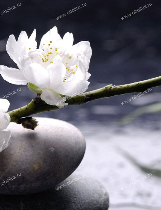 Панно и фотообои A. S. Creation XXL II White Flowers On Stone 369