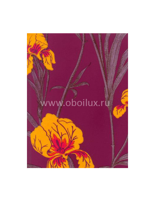 Обои Cole & Son The Contemporary III 83/2006
