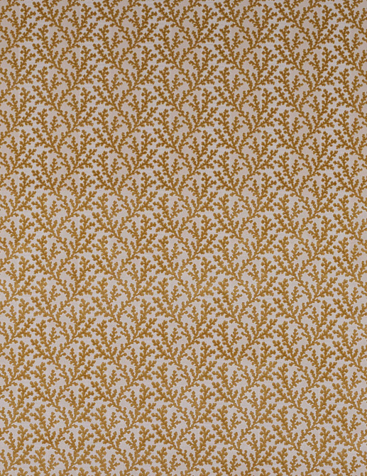 Ткань Colefax and Fowler Pelham F4857/05