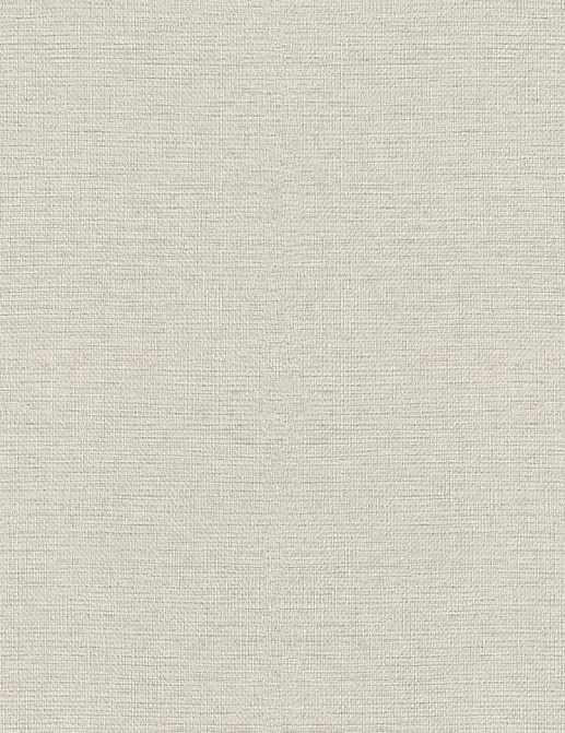 Обои Rasch Wall Textures XL Vol3 970623