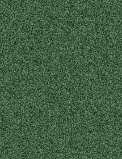 Обои Brewster Evolution 5 BWE05612