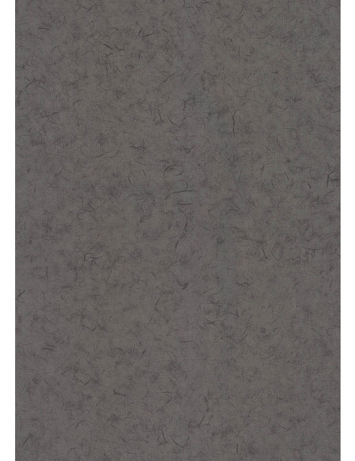 Обои BN International Glassy BN 218315