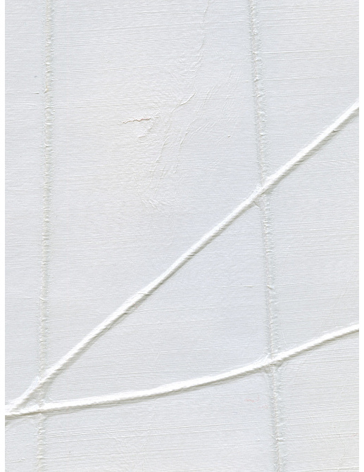 Обои Holland & Sherry Modern Legacy DEWP2231/Lithe White