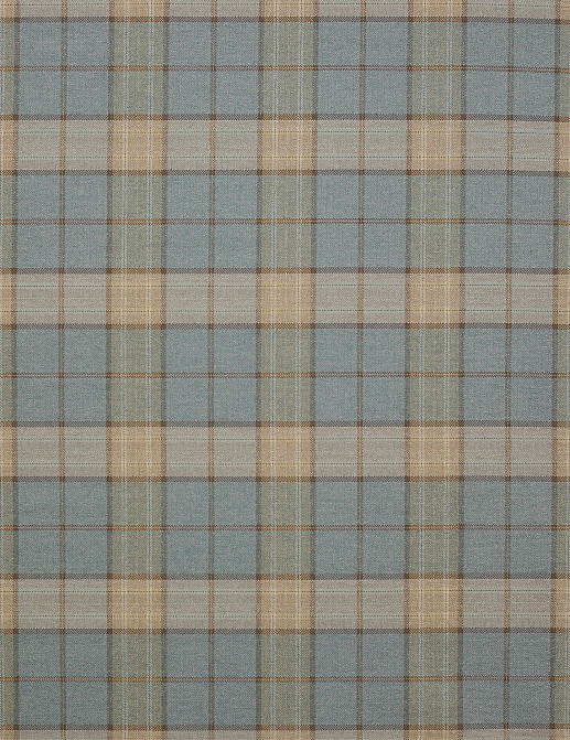 Ткань Colefax and Fowler Magnus Checks F4238/02