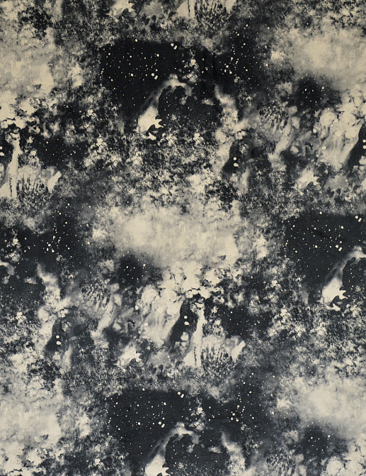 Ткань Casal Nebuleuse 12843/65
